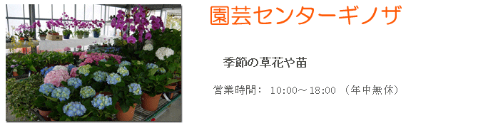 engei 園芸センター 宜野座